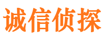 镇安外遇调查取证